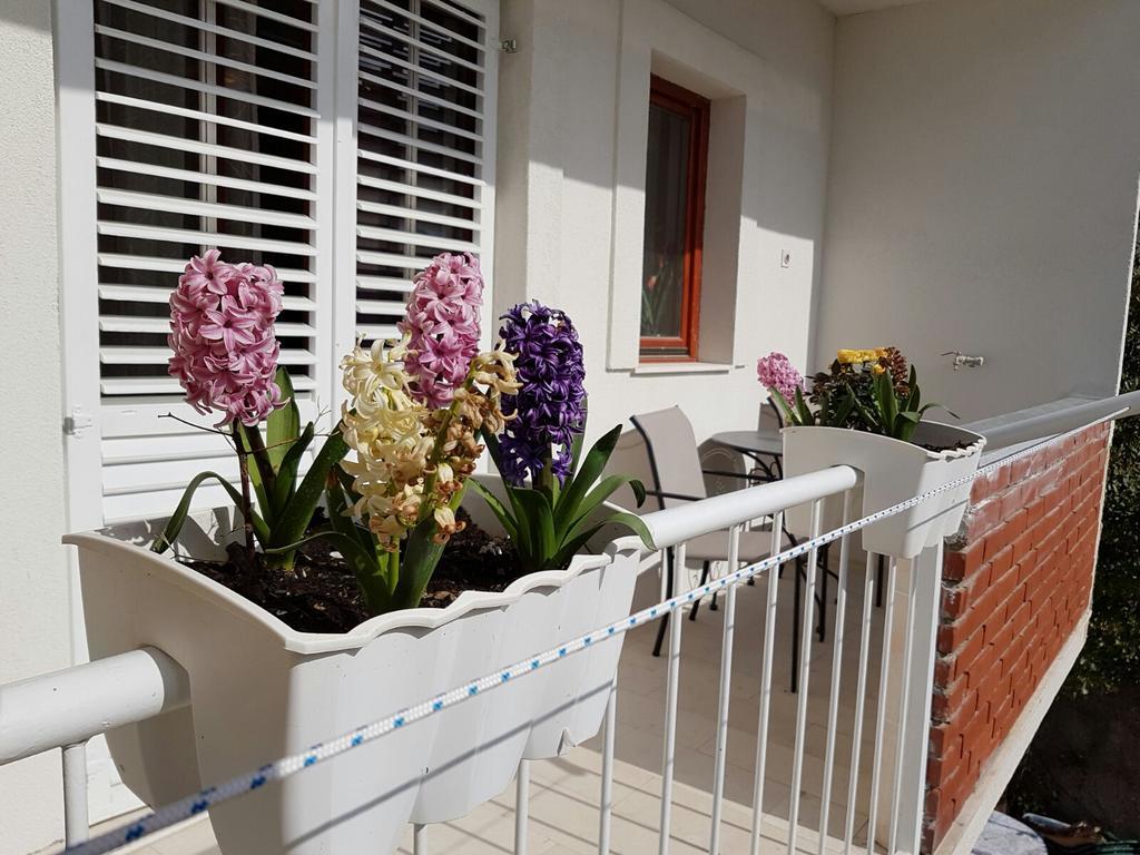 Apartment Vice Mali Split Dış mekan fotoğraf